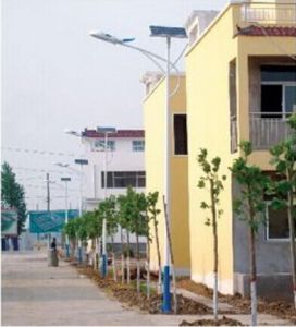 新農(nóng)村_5米太陽(yáng)能路燈