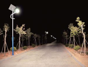 太陽能鋰電路燈