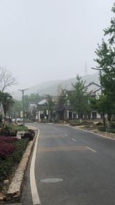 【定制特色路燈案例】長興縣八都岕十里銀杏景區(qū)特色路燈