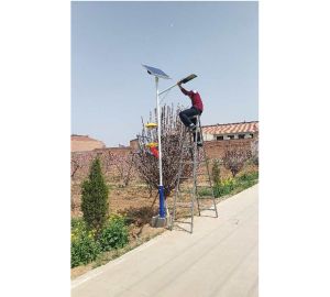 太陽(yáng)能殺蟲燈